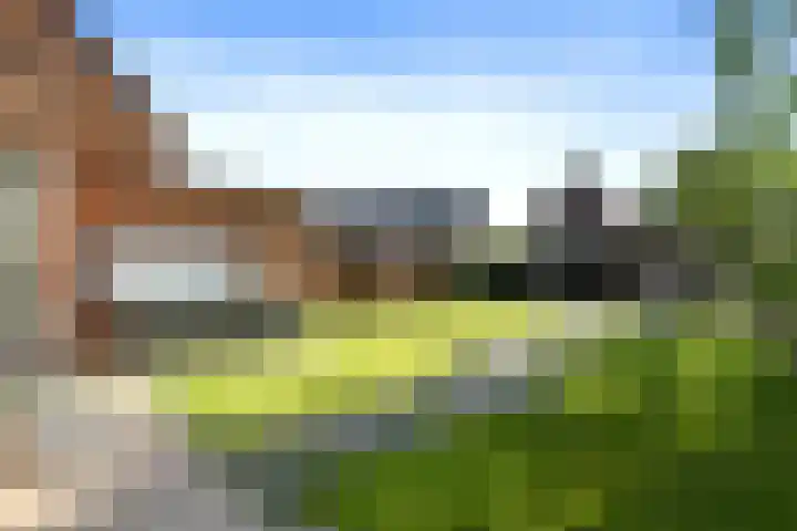 Zelen 5 Panningen thumbnail 40