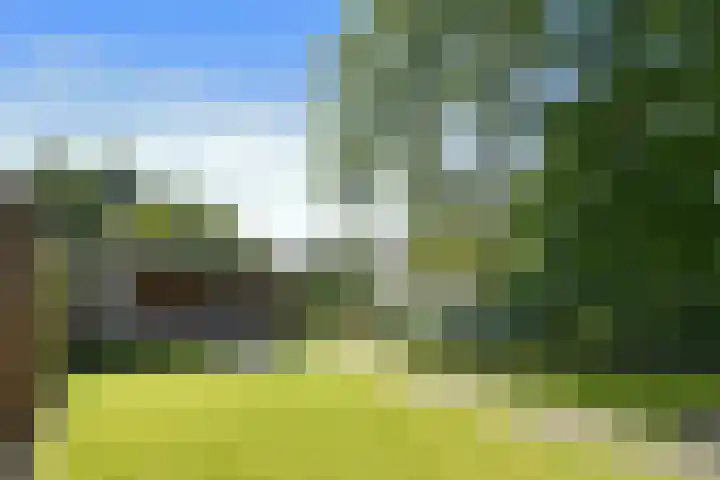 Zelen 5 Panningen thumbnail 41