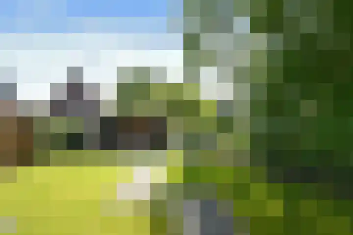 Zelen 5 Panningen thumbnail 42