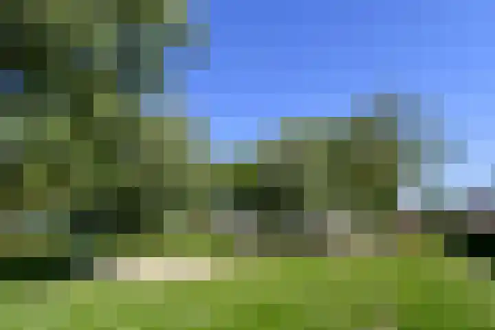 Zelen 5 Panningen thumbnail 47