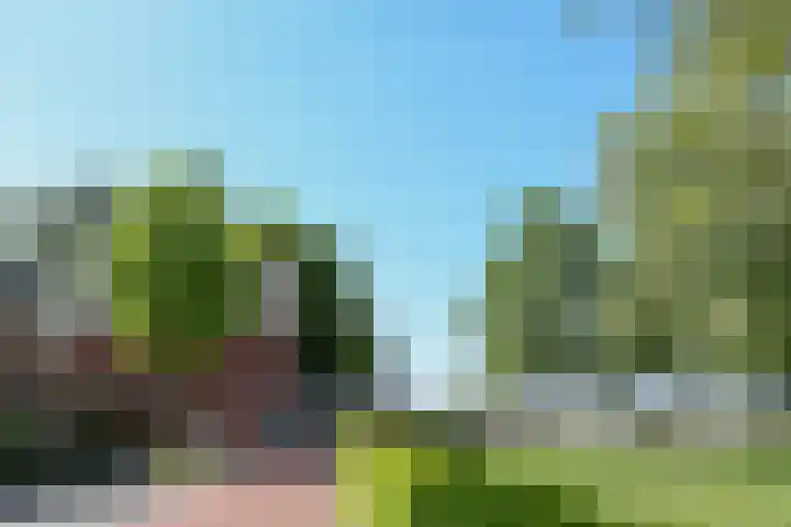 Zelen 5 Panningen thumbnail 7