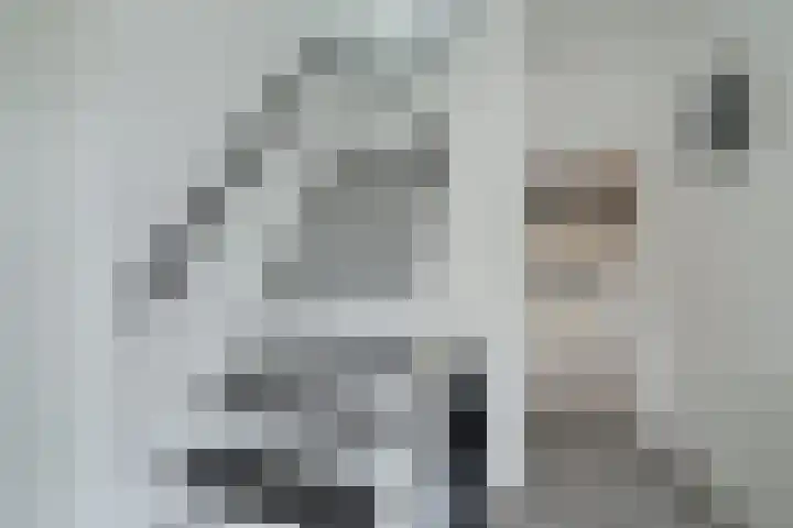 Zelhemsevoetpad 16 Varsseveld thumbnail 10