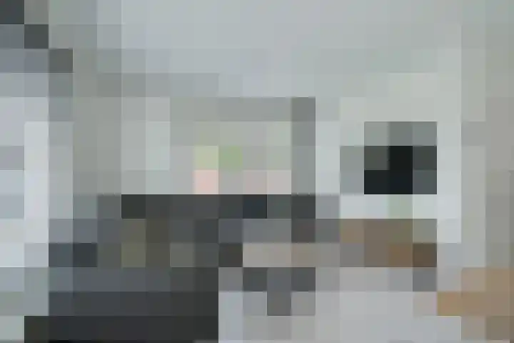 Zelhemsevoetpad 16 Varsseveld thumbnail 13