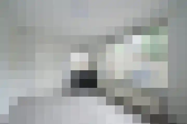 Zelhemsevoetpad 16 Varsseveld thumbnail 23