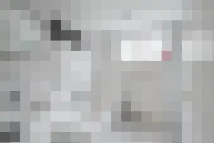 Zelhemsevoetpad 16 Varsseveld thumbnail 25