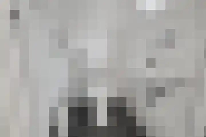 Zelhemsevoetpad 16 Varsseveld thumbnail 29
