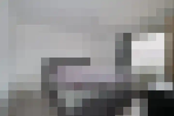 Zelhemsevoetpad 16 Varsseveld thumbnail 30
