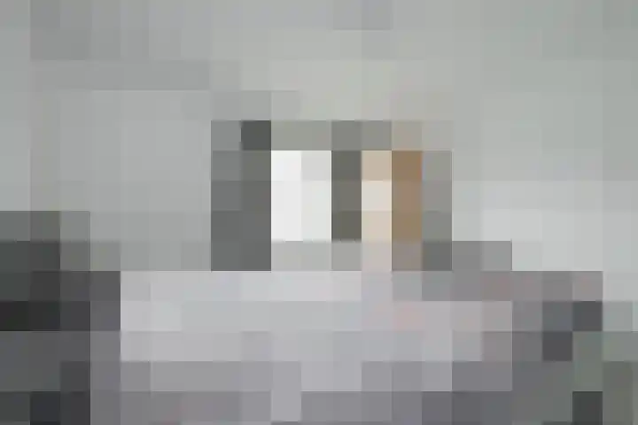 Zelhemsevoetpad 16 Varsseveld thumbnail 31