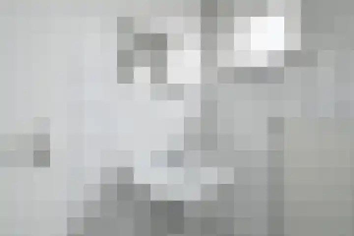 Zelhemsevoetpad 16 Varsseveld thumbnail 37