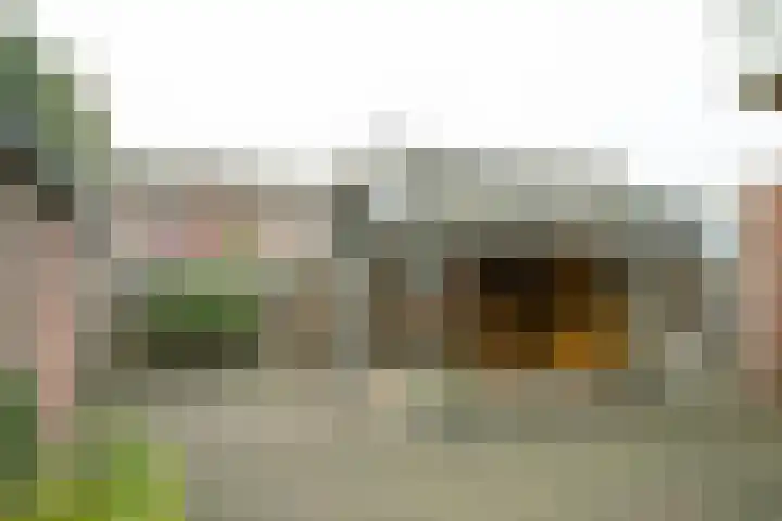 Zelhemsevoetpad 16 Varsseveld thumbnail 4