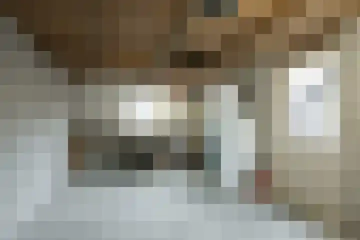 Zelhemsevoetpad 16 Varsseveld thumbnail 40