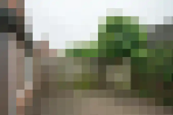 Zelhemsevoetpad 16 Varsseveld thumbnail 43