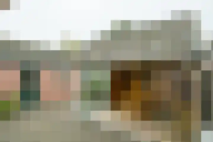 Zelhemsevoetpad 16 Varsseveld thumbnail 44