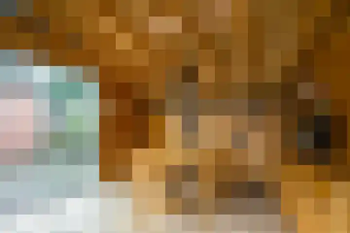 Zelhemsevoetpad 16 Varsseveld thumbnail 45