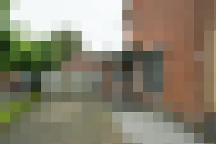 Zelhemsevoetpad 16 Varsseveld thumbnail 7