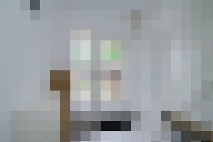 Zelhemsevoetpad 16 Varsseveld thumbnail 9