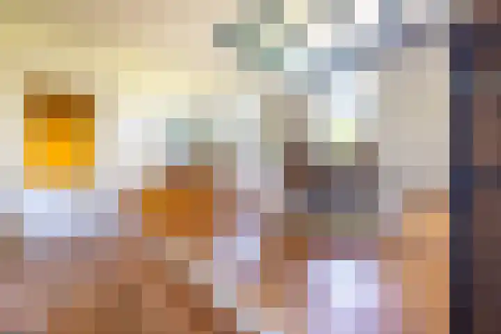 Zelhemseweg 11 Hummelo thumbnail 10
