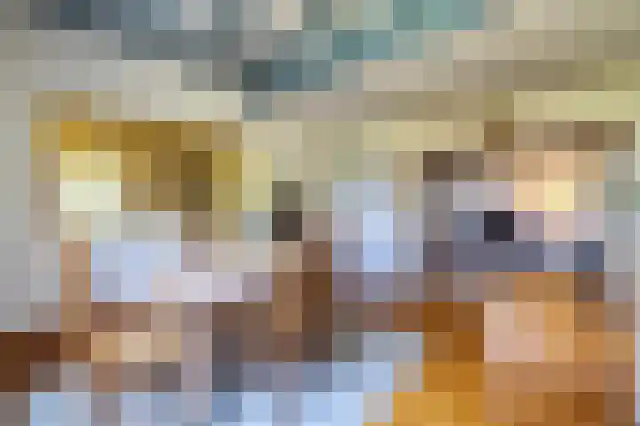 Zelhemseweg 11 Hummelo thumbnail 11