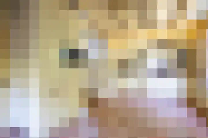 Zelhemseweg 11 Hummelo thumbnail 13