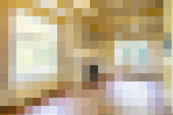 Zelhemseweg 11 Hummelo thumbnail 16