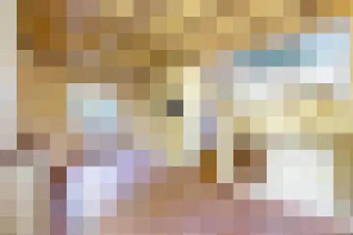 Zelhemseweg 11 Hummelo thumbnail 17