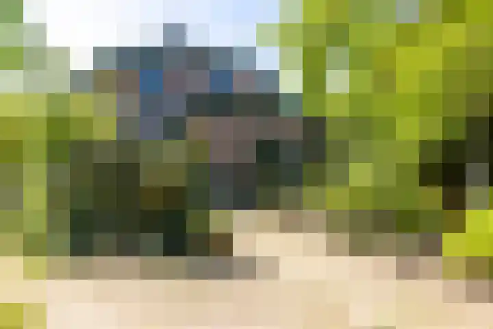 Zelhemseweg 11 Hummelo thumbnail 18