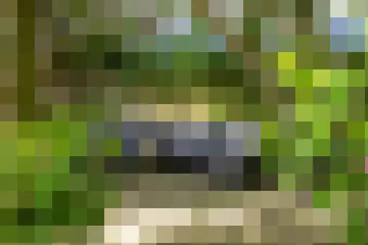 Zelhemseweg 11 Hummelo thumbnail 19