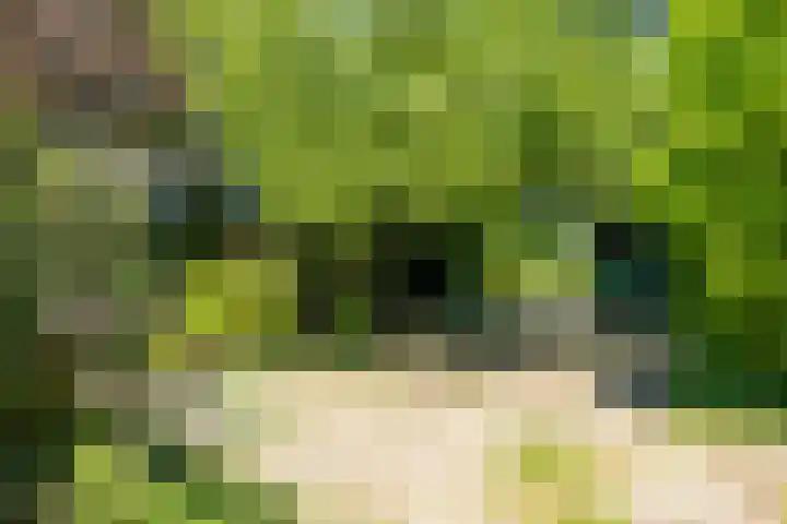 Zelhemseweg 11 Hummelo thumbnail 20