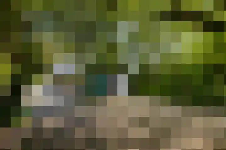 Zelhemseweg 11 Hummelo thumbnail 21