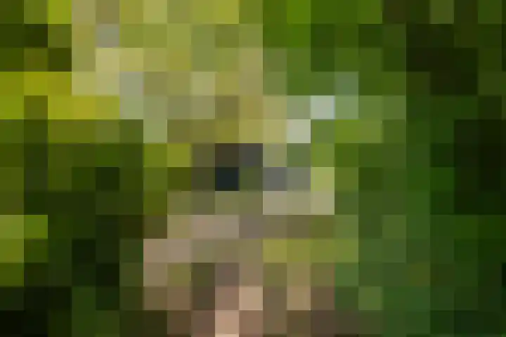 Zelhemseweg 11 Hummelo thumbnail 23