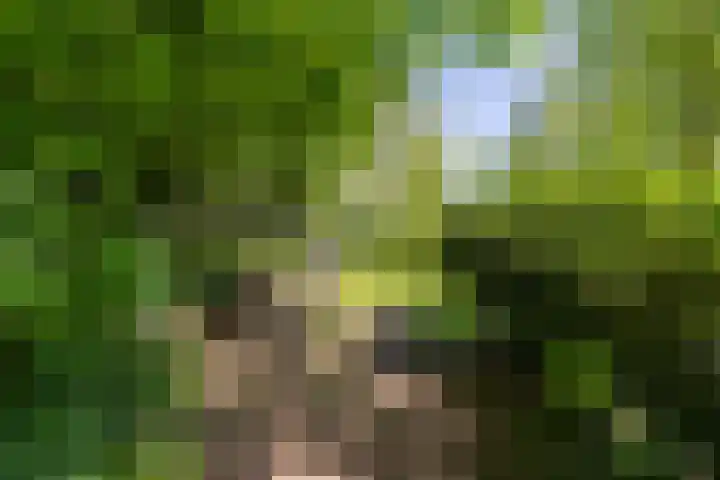 Zelhemseweg 11 Hummelo thumbnail 24