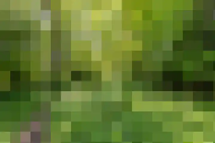 Zelhemseweg 11 Hummelo thumbnail 27