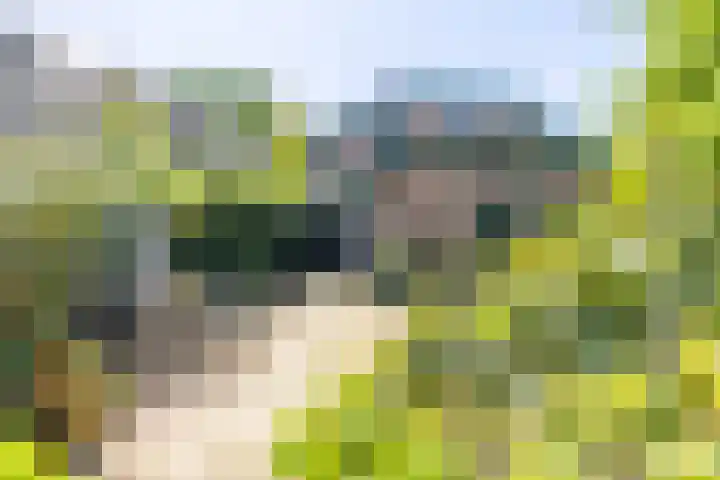 Zelhemseweg 11 Hummelo thumbnail 29