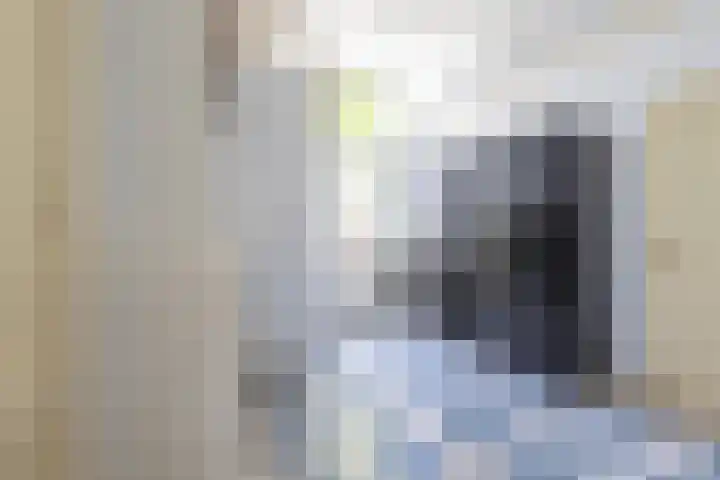Zelhemseweg 11 Hummelo thumbnail 30