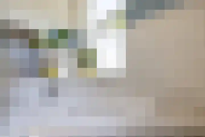 Zelhemseweg 11 Hummelo thumbnail 35