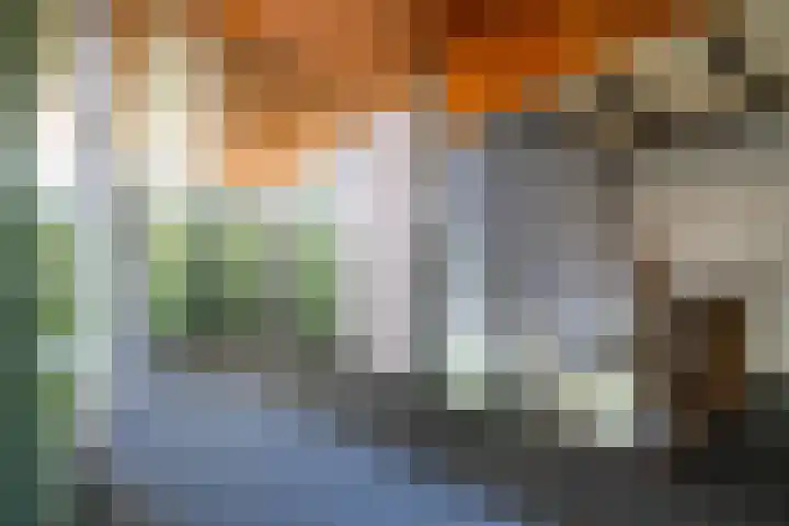 Zelhemseweg 11 Hummelo thumbnail 44