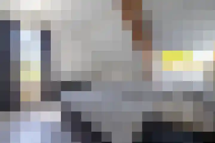 Zelhemseweg 11 Hummelo thumbnail 46