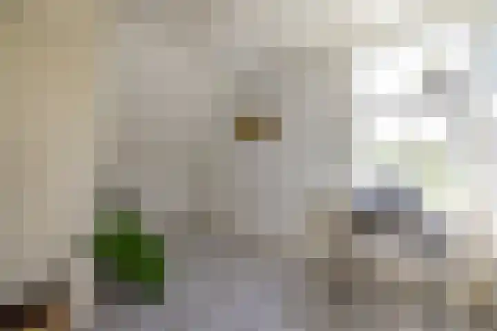 Zelhemseweg 11 Hummelo thumbnail 48