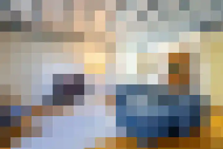 Zelhemseweg 11 Hummelo thumbnail 5