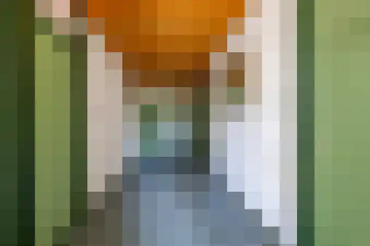 Zelhemseweg 11 Hummelo thumbnail 57
