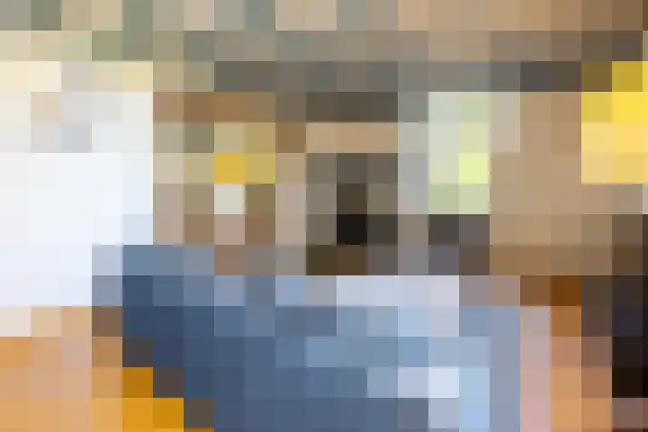 Zelhemseweg 11 Hummelo thumbnail 6