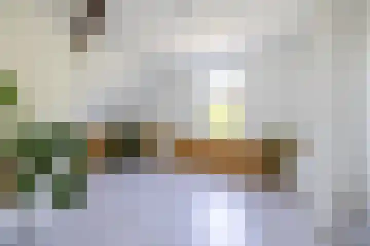 Zelhemseweg 11 Hummelo thumbnail 63