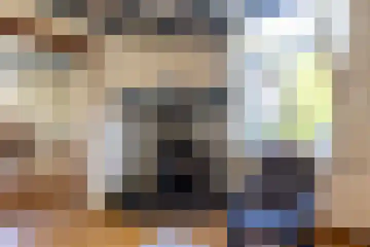 Zelhemseweg 11 Hummelo thumbnail 7