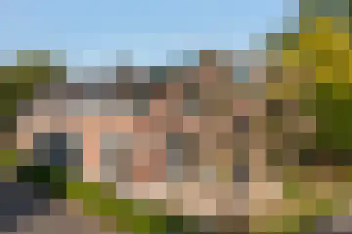 Zelhemseweg 11 Hummelo thumbnail 71