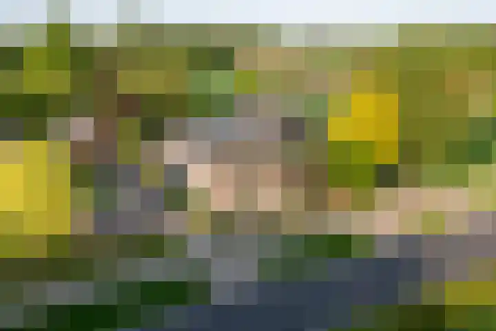 Zelhemseweg 11 Hummelo thumbnail 72