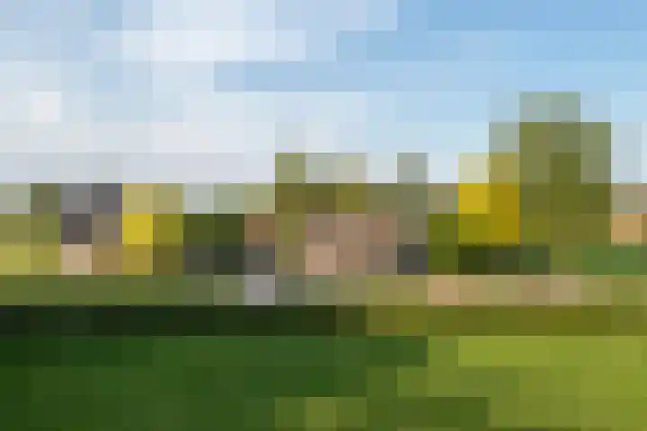 Zelhemseweg 11 Hummelo thumbnail 73