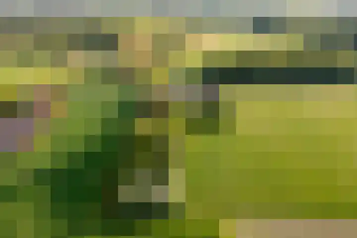 Zelhemseweg 11 Hummelo thumbnail 75