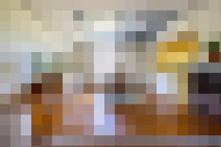 Zelhemseweg 11 Hummelo thumbnail 9