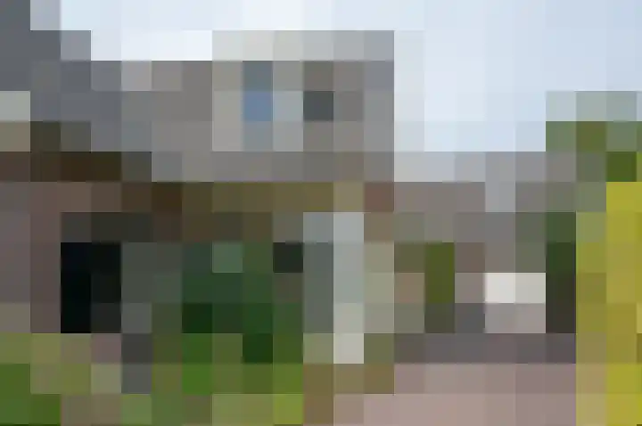 Zelhemseweg 12 Hengelo (Gld) thumbnail 38