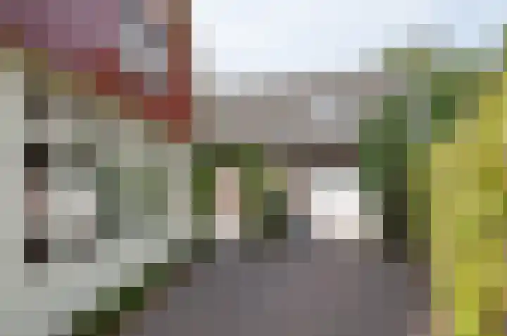 Zelhemseweg 12 Hengelo (Gld) thumbnail 39